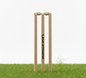 Pro Cricket Stumps Set – BRANDVALUE Solid Willow